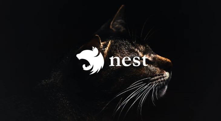 NEST JS