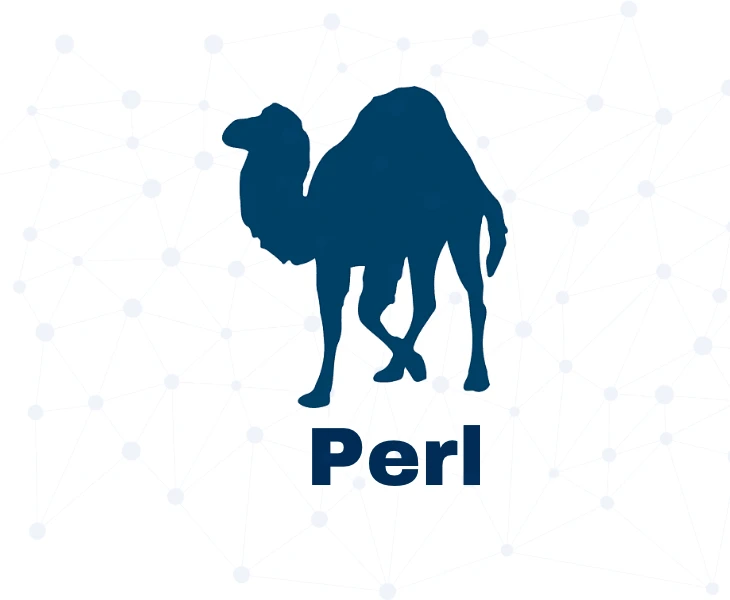 Perl programming language